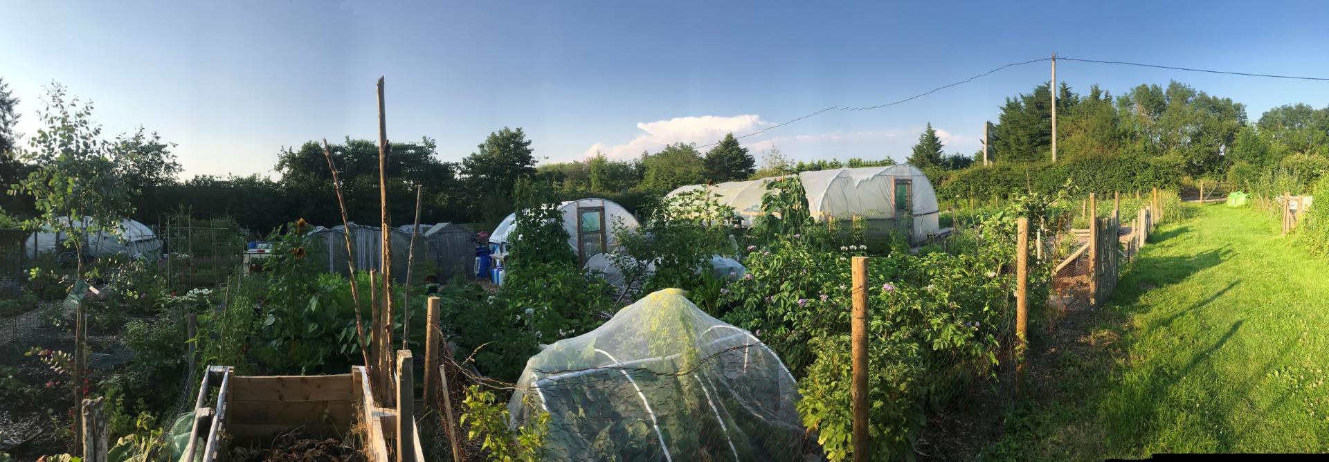 Allotments